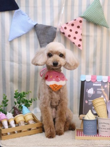 20250509うたちゃん